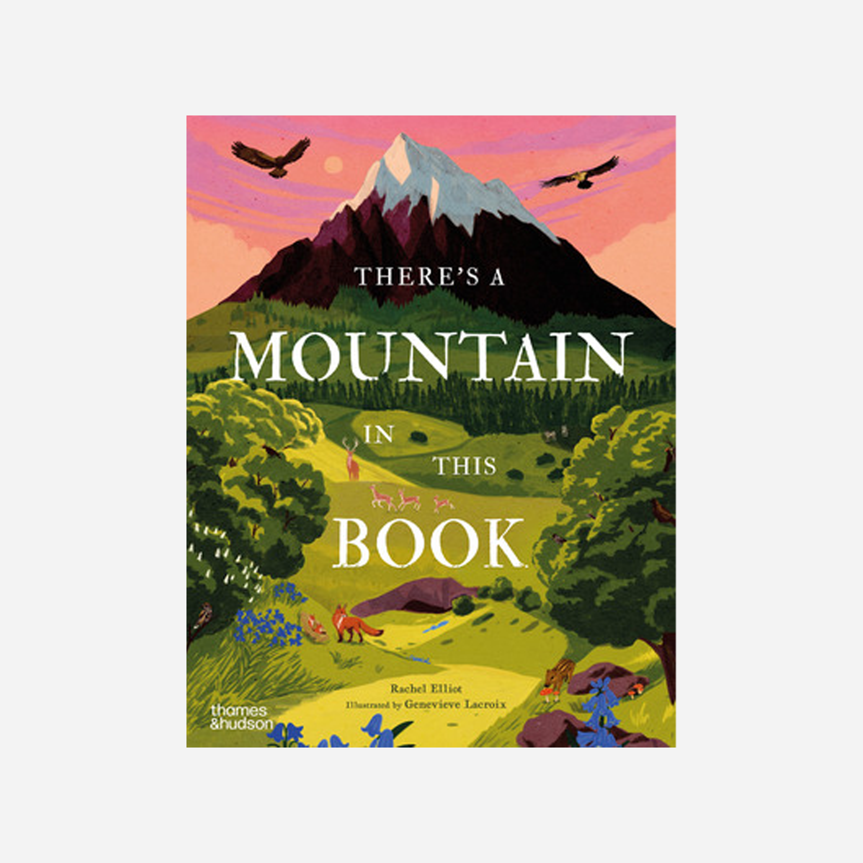 Knyga. There's a Mountain in This Book – Raštinė