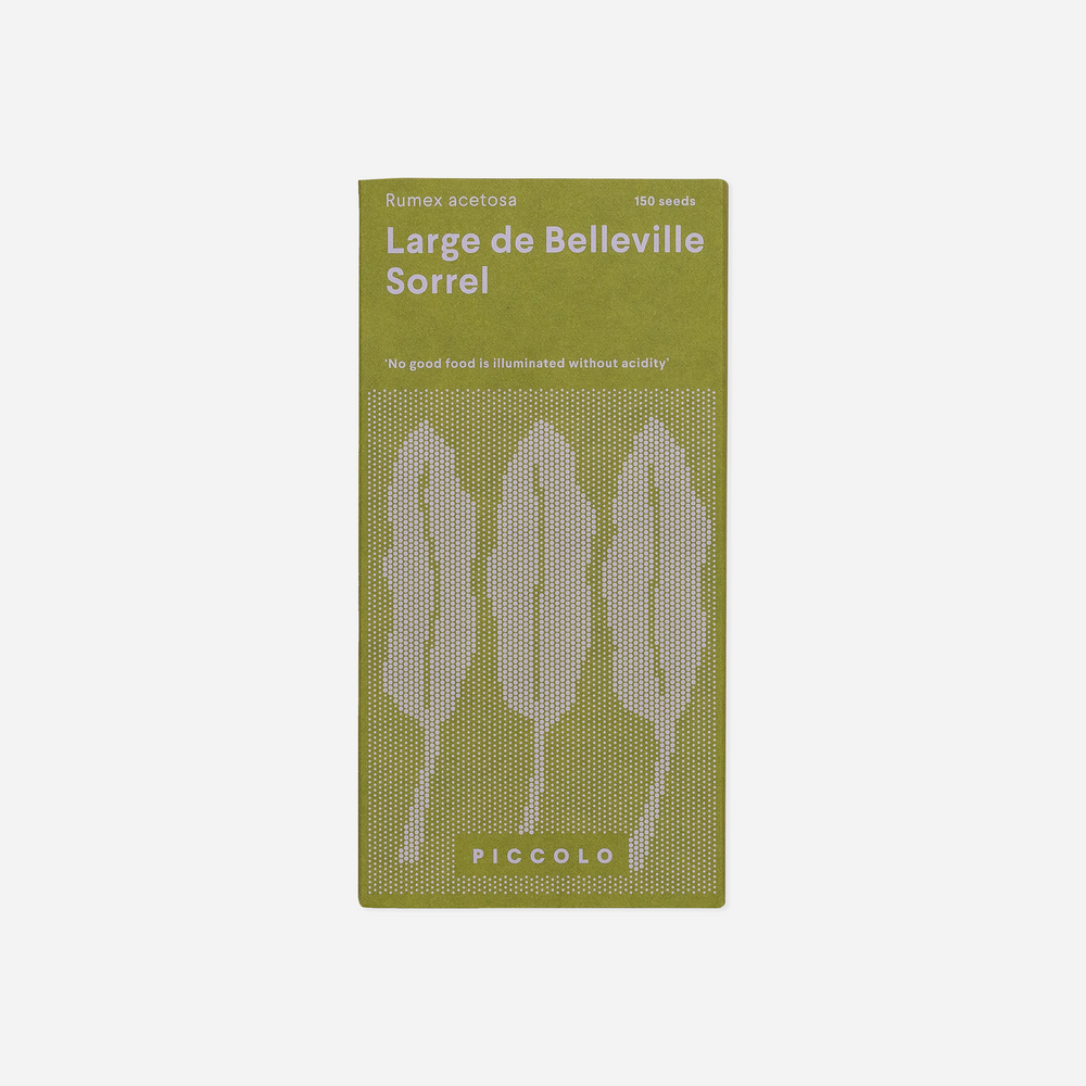 Daržovė. Rūgštynė "Sorrel Large de Belleville"