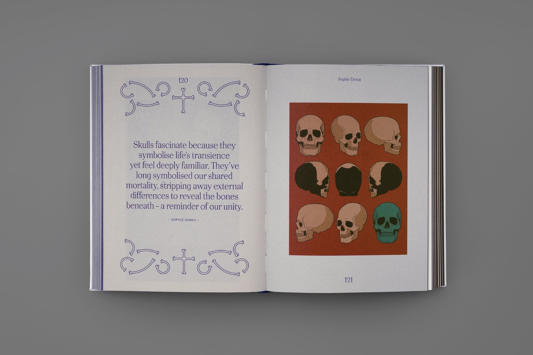 Knyga. Skulls: Art in Bone