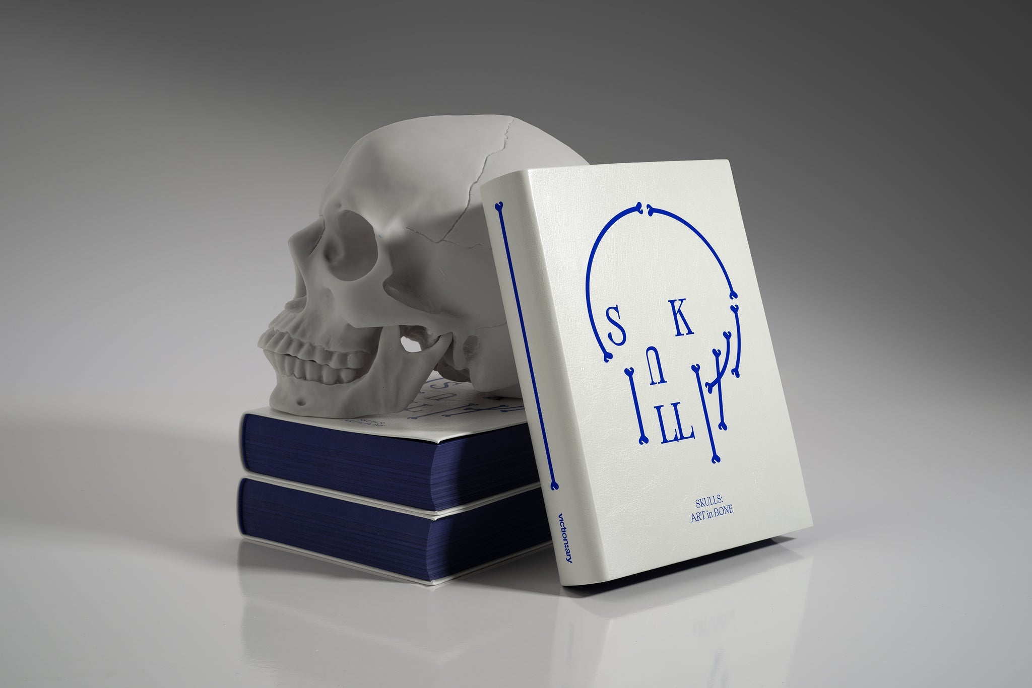 Knyga. Skulls: Art in Bone