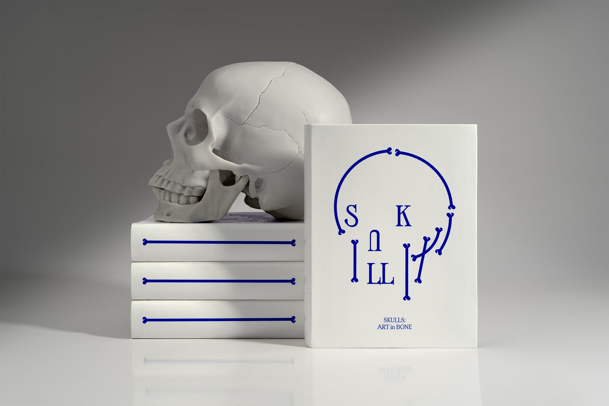 Knyga. Skulls: Art in Bone