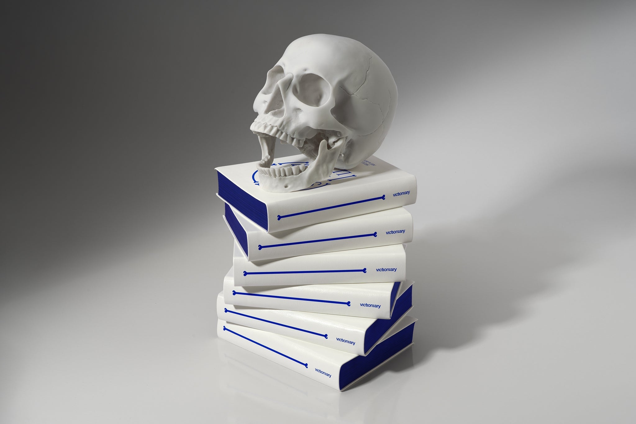 Knyga. Skulls: Art in Bone