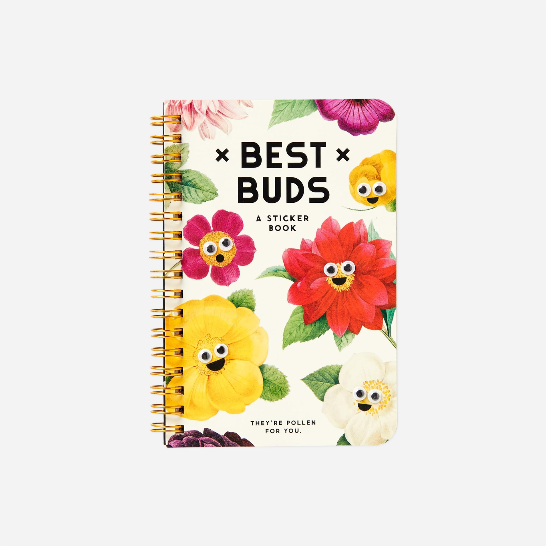Lipdukai. Googly Sticker Book [Best Buds]