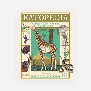 Knyga. Eatopedia