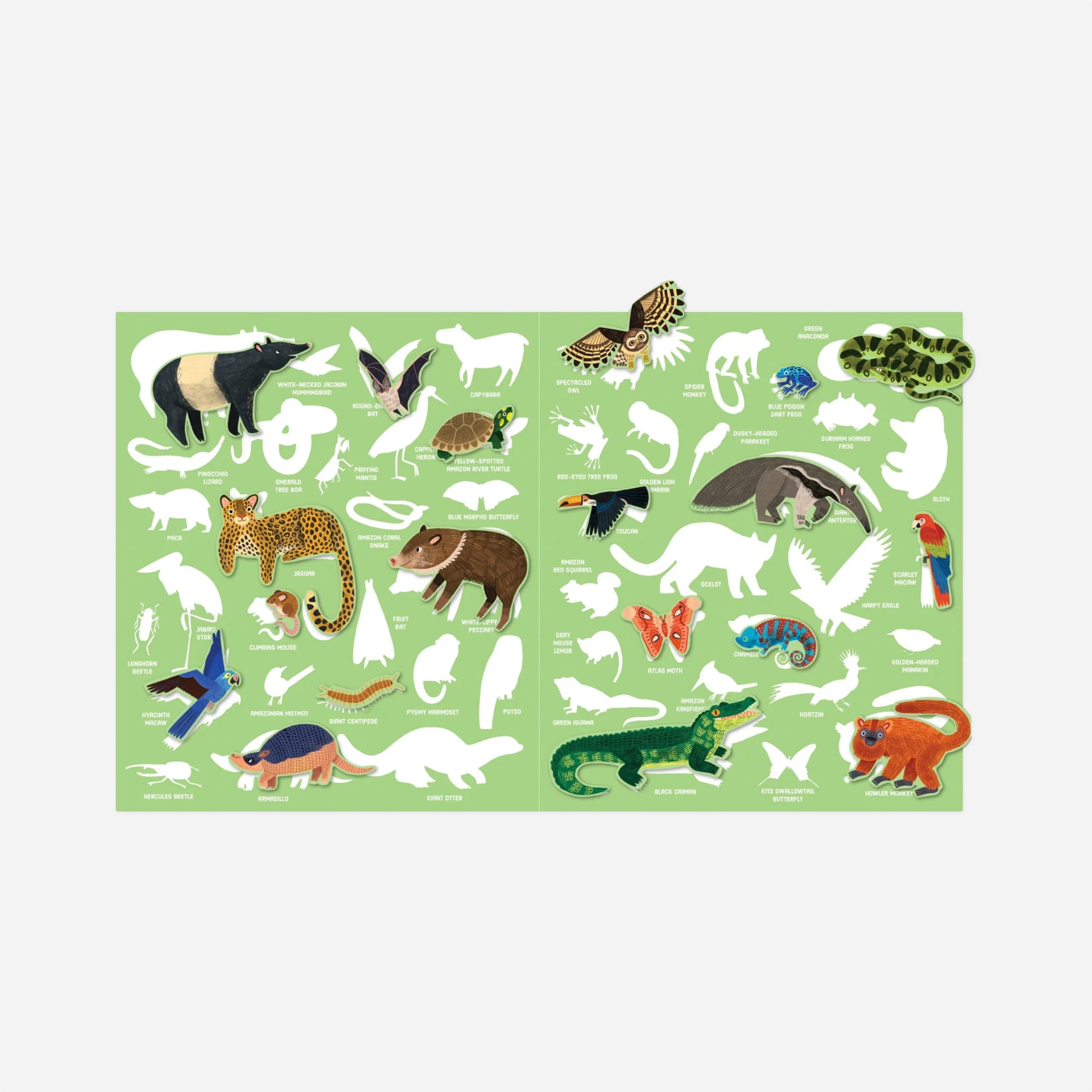 Lipdukai. Rainforest Sticker Activity Set