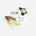 Spalvinimo akverele knygelė. Natural History Watercolour Postcard Book
