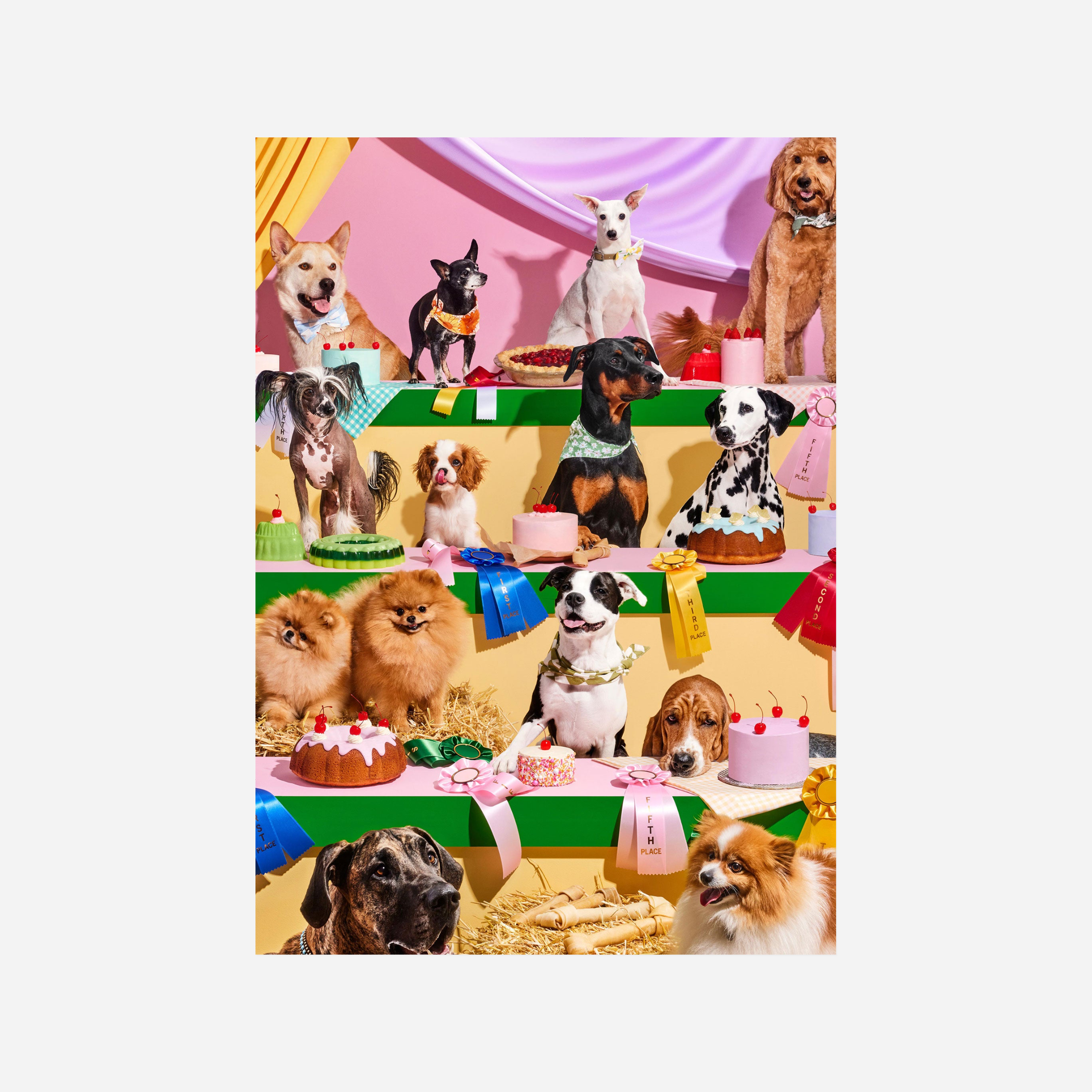 Dėlionė. Top Dog