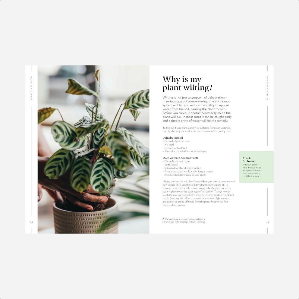 Knyga. How to Make Your Houseplants Love You