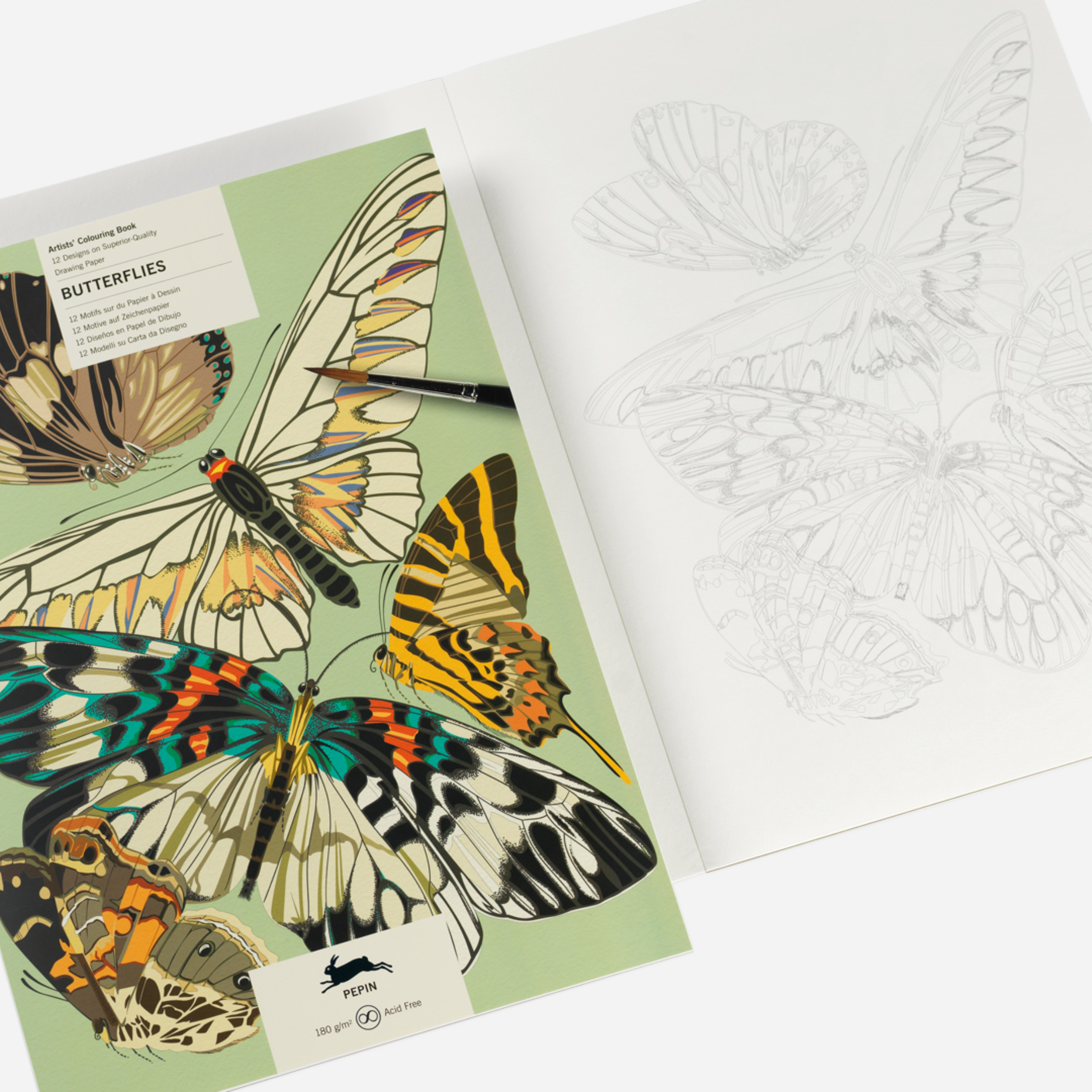 Spalvinimo akvarele knyga. Butterflies Artists' Colouring Book