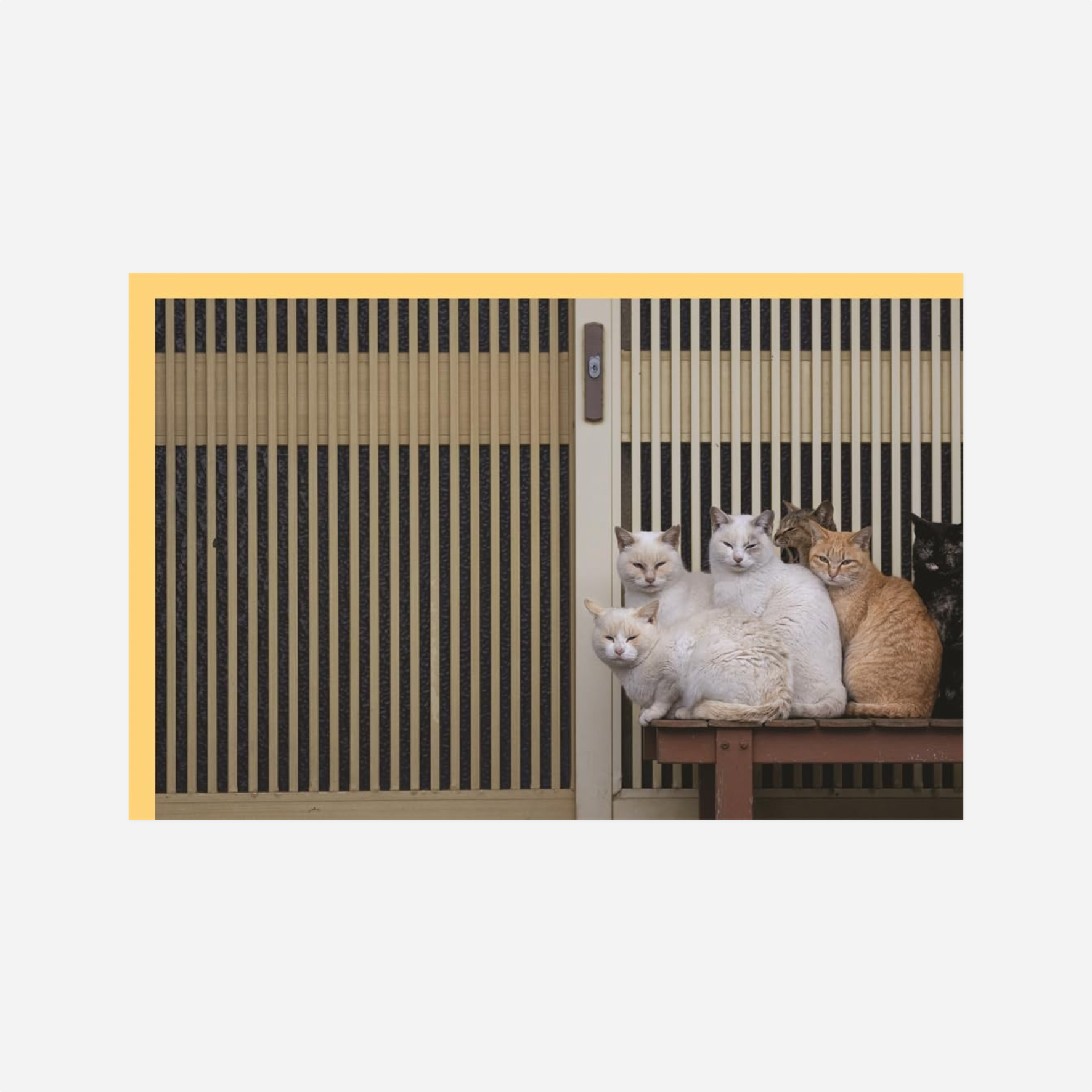 Knyga. Neko: Cats of Japan