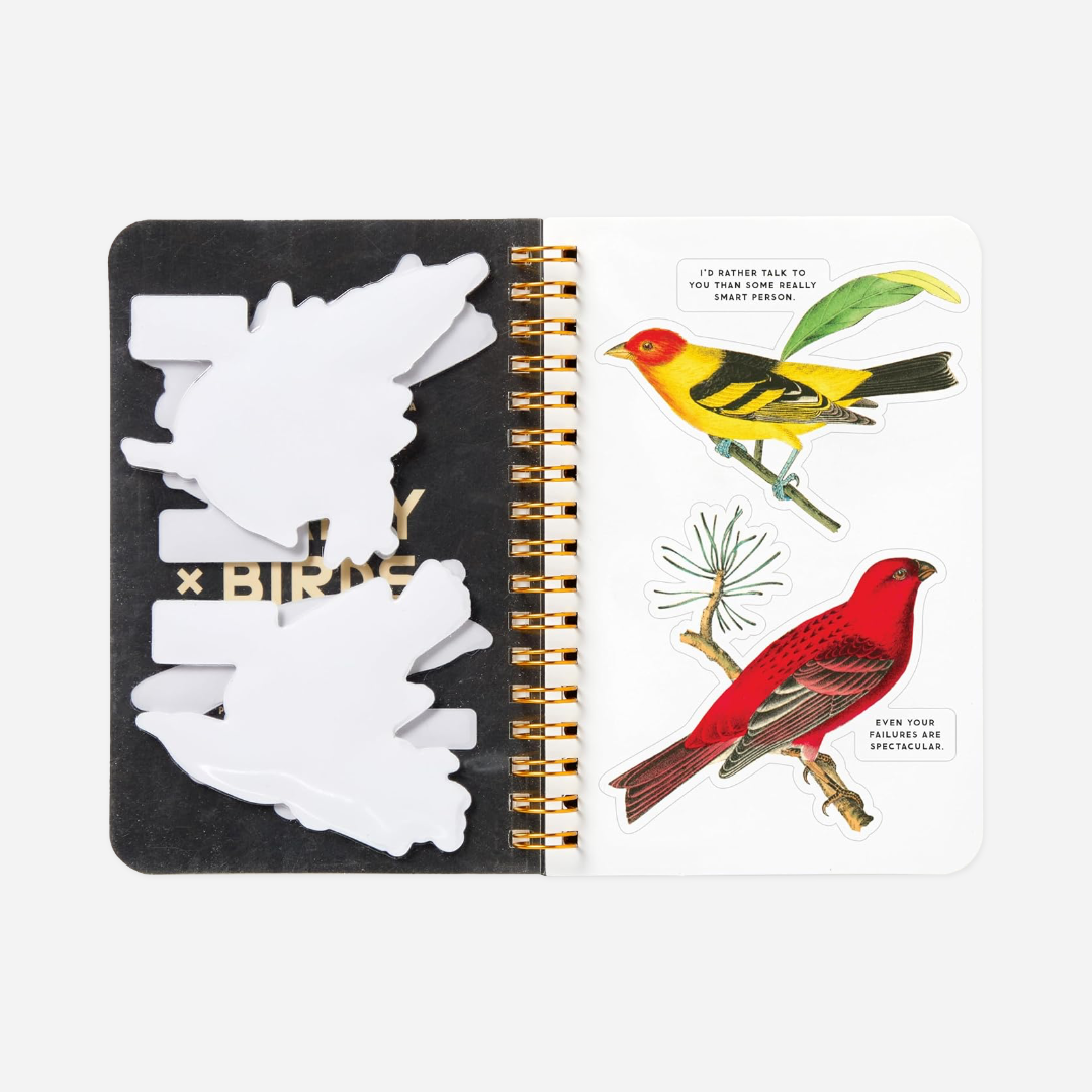 Knyga. Salty Birds Sticker Book