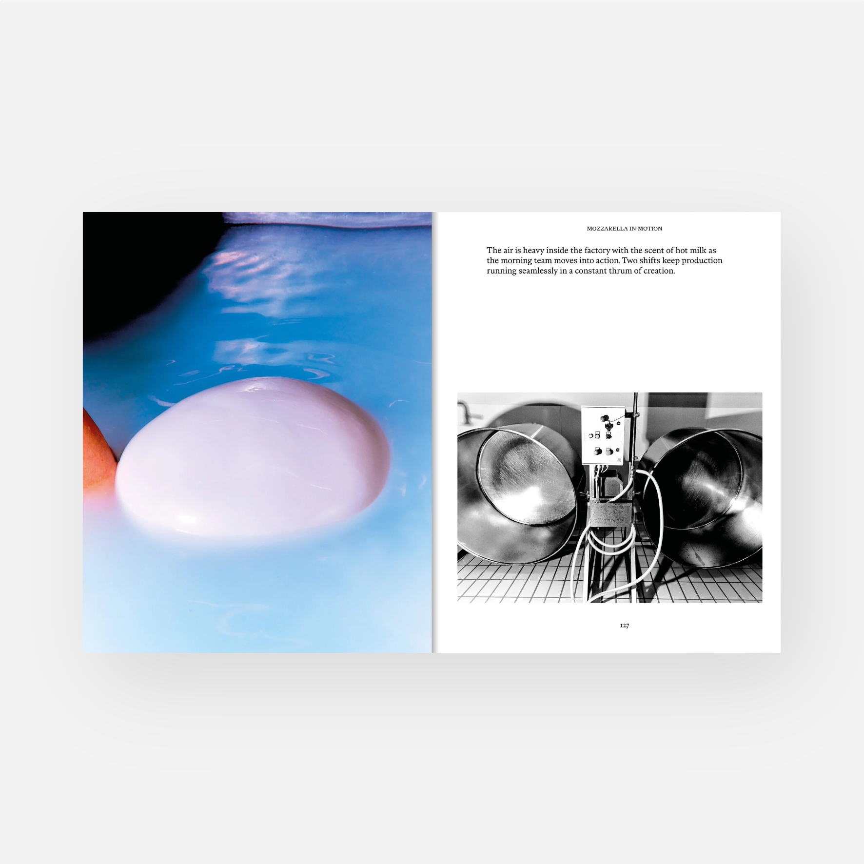 Knyga. CAMPANIA: Recipes & Wanderings