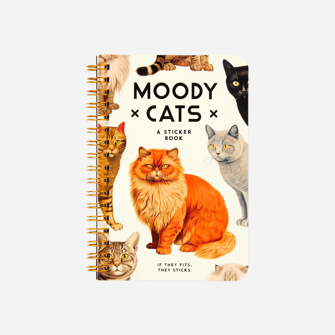 Knyga. Moody Cats Sticker Book