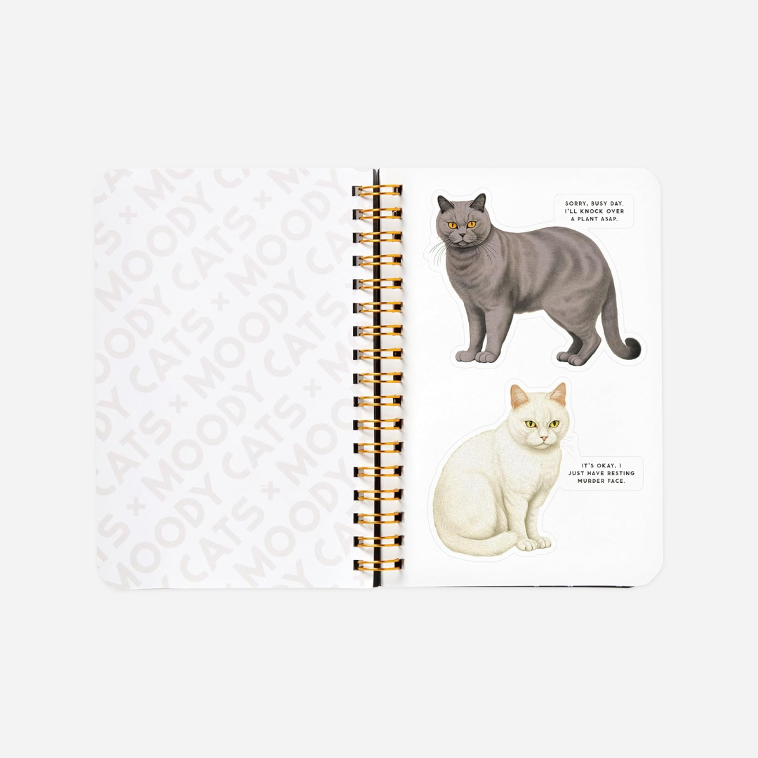 Knyga. Moody Cats Sticker Book