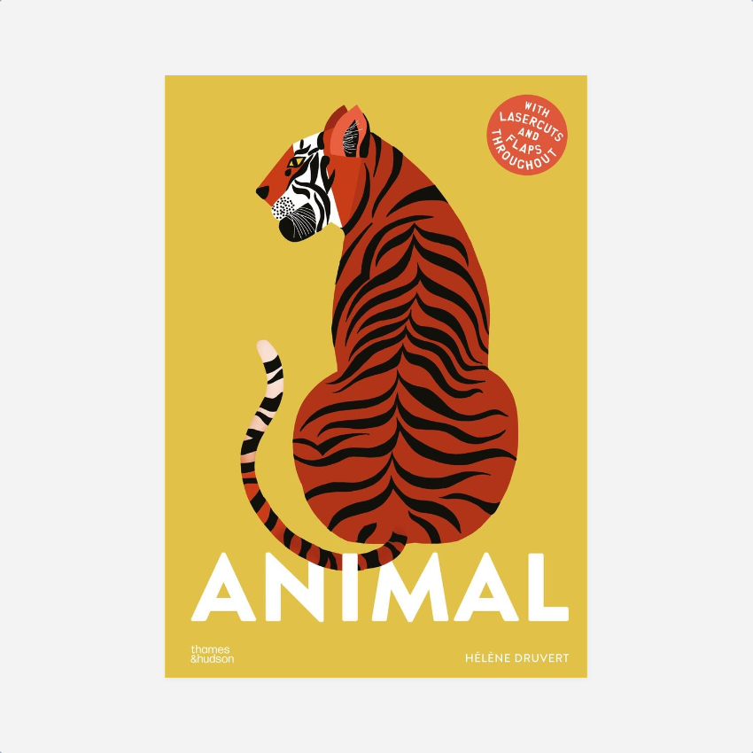 Knyga. Animal
