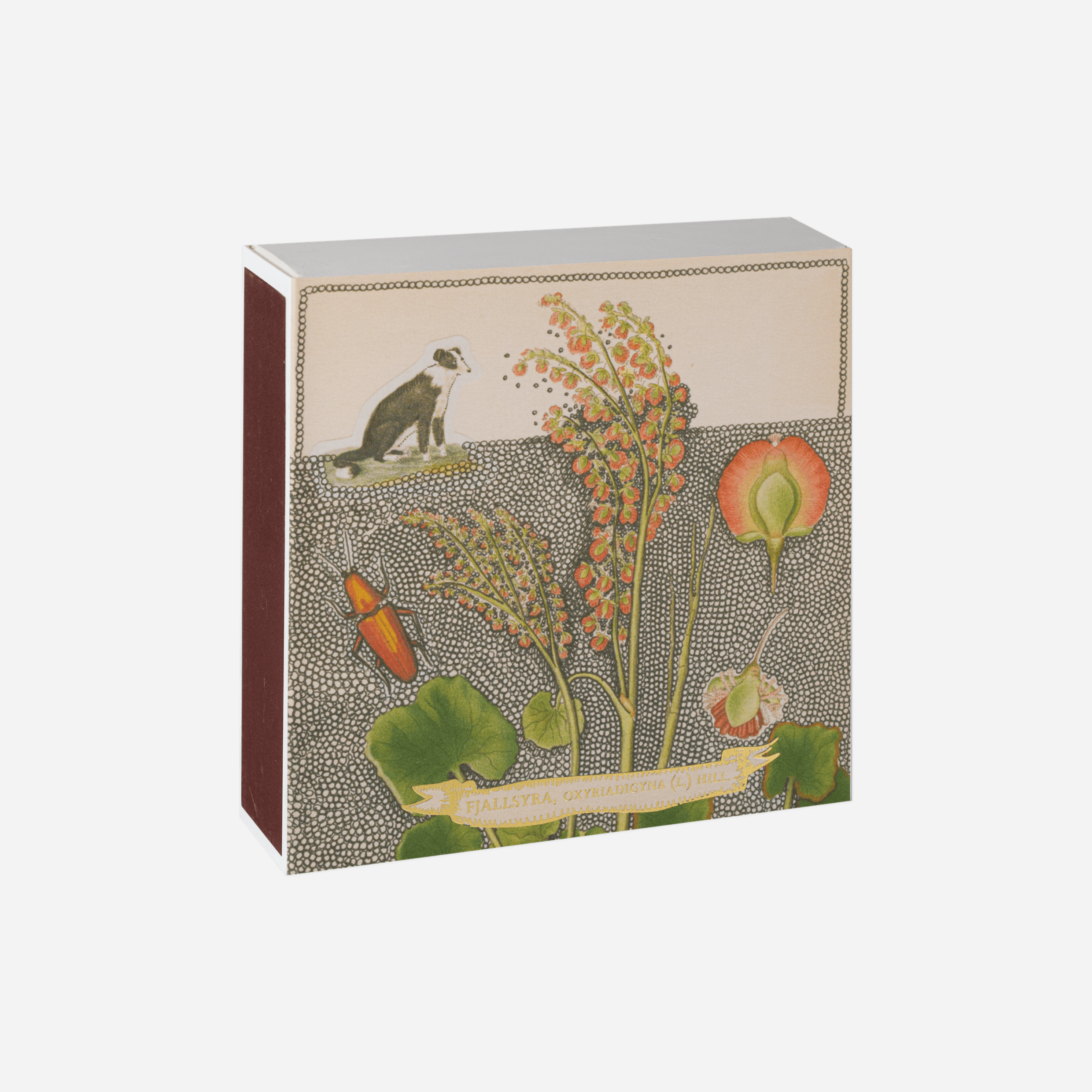 Degtukai. Archivist [Chien Botanical]
