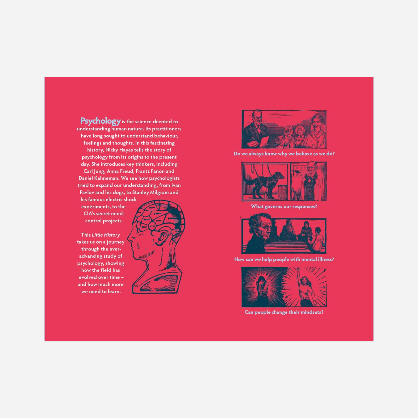 Knyga.A Little History of Psychology