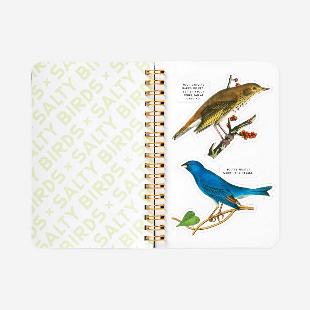 Knyga. Salty Birds Sticker Book