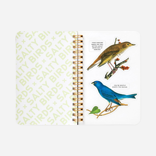 Knyga. Salty Birds Sticker Book
