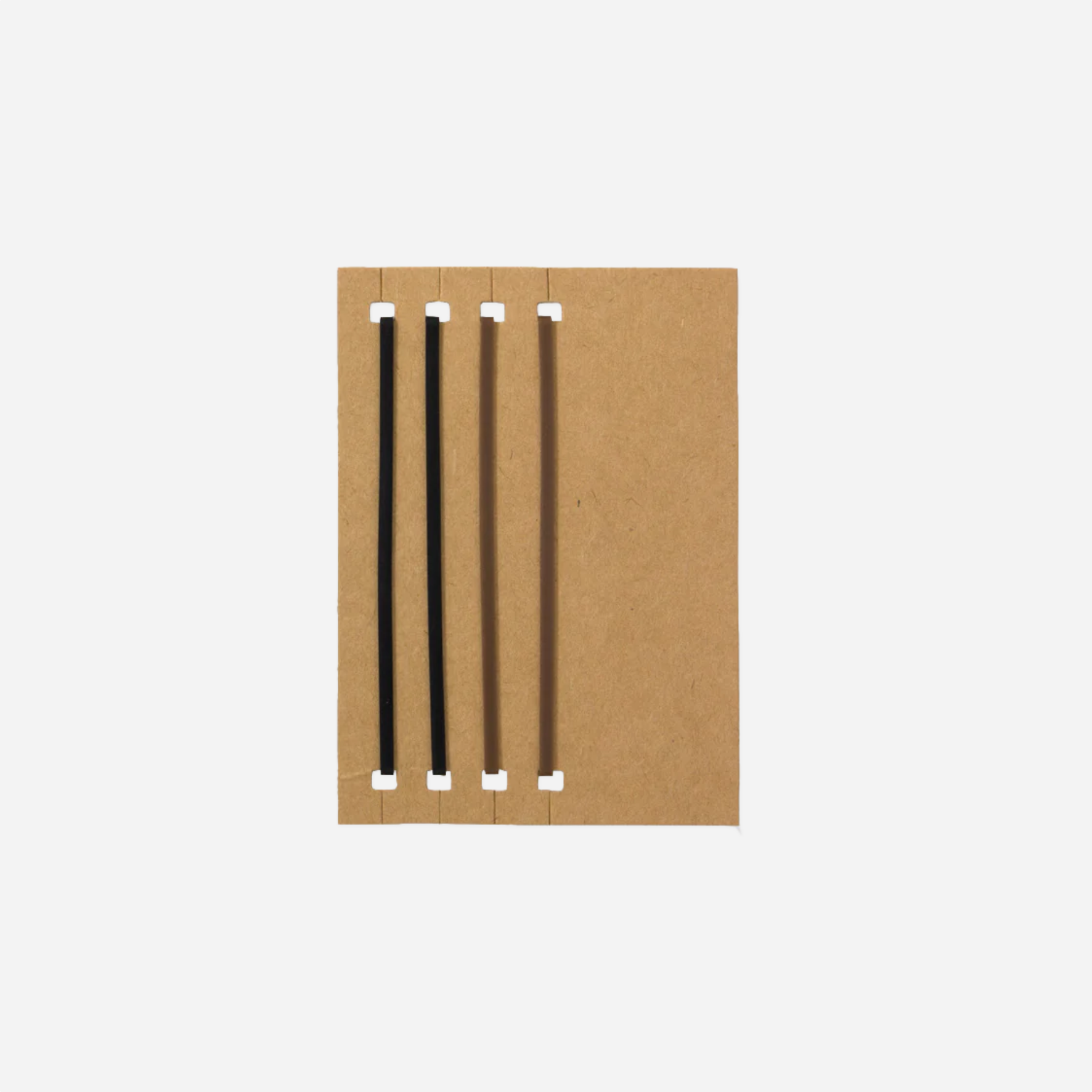 Užrašinės aksesuaras. TN Passport 011 Refill Connecting Rubber Band