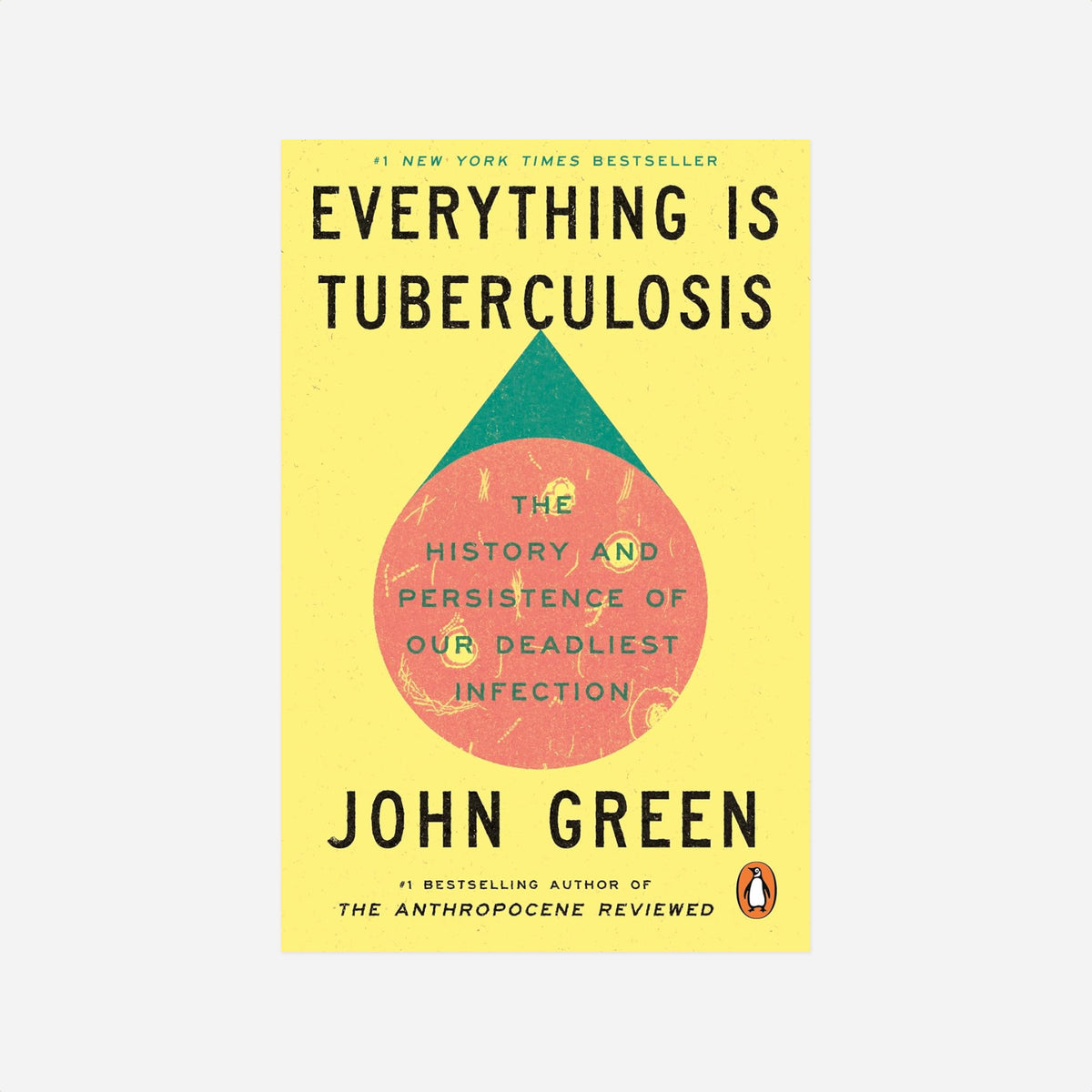 Knyga. Everything Is Tuberculosis