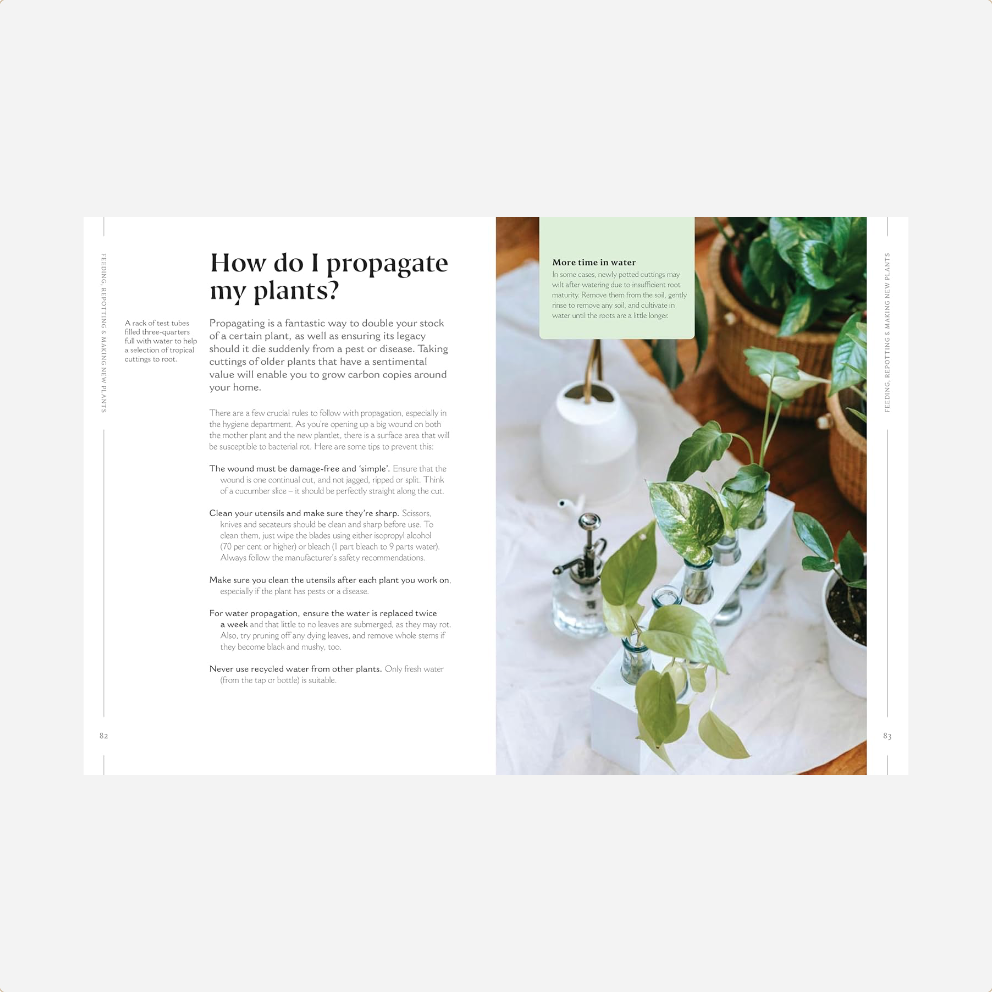 Knyga. How to Make Your Houseplants Love You