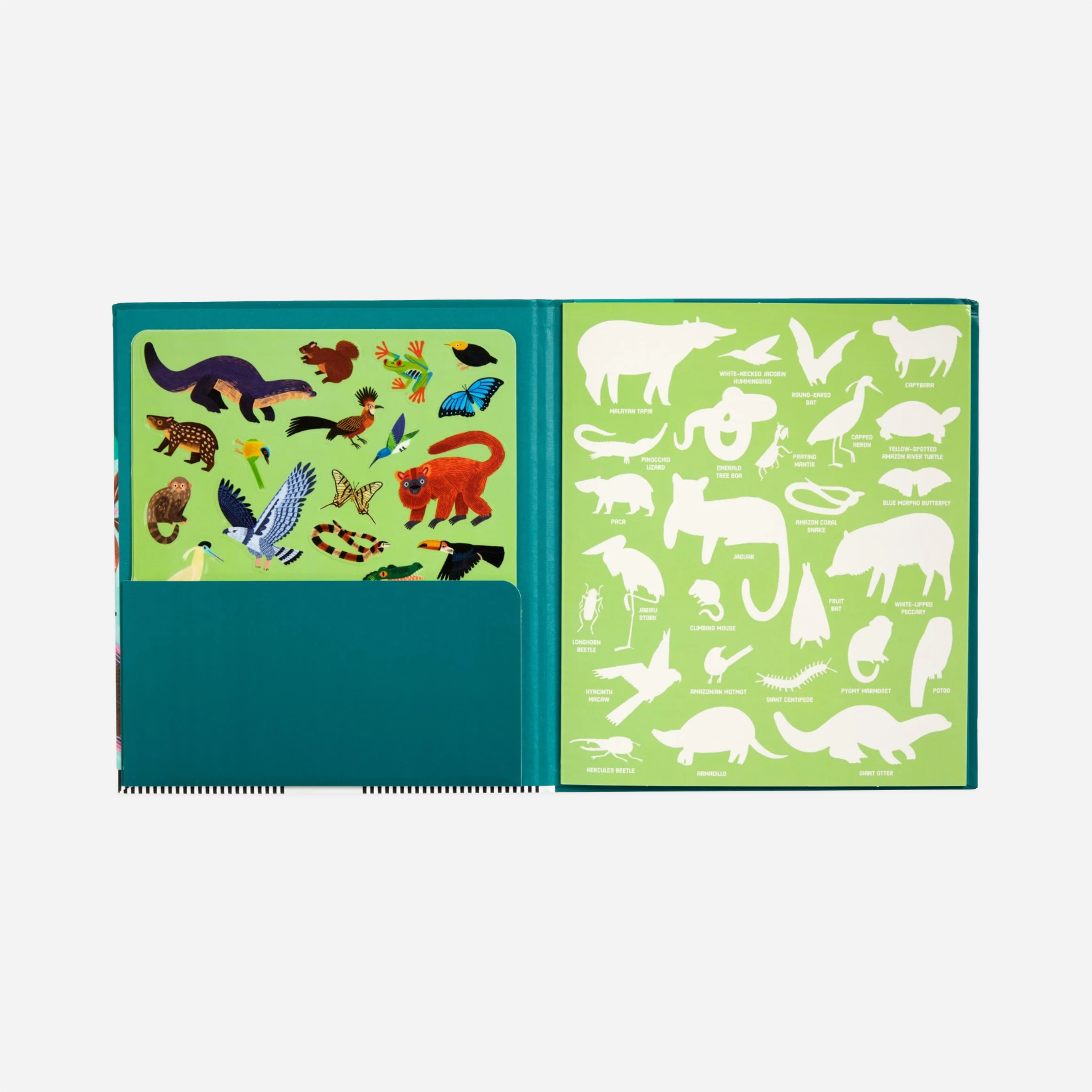 Lipdukai. Rainforest Sticker Activity Set