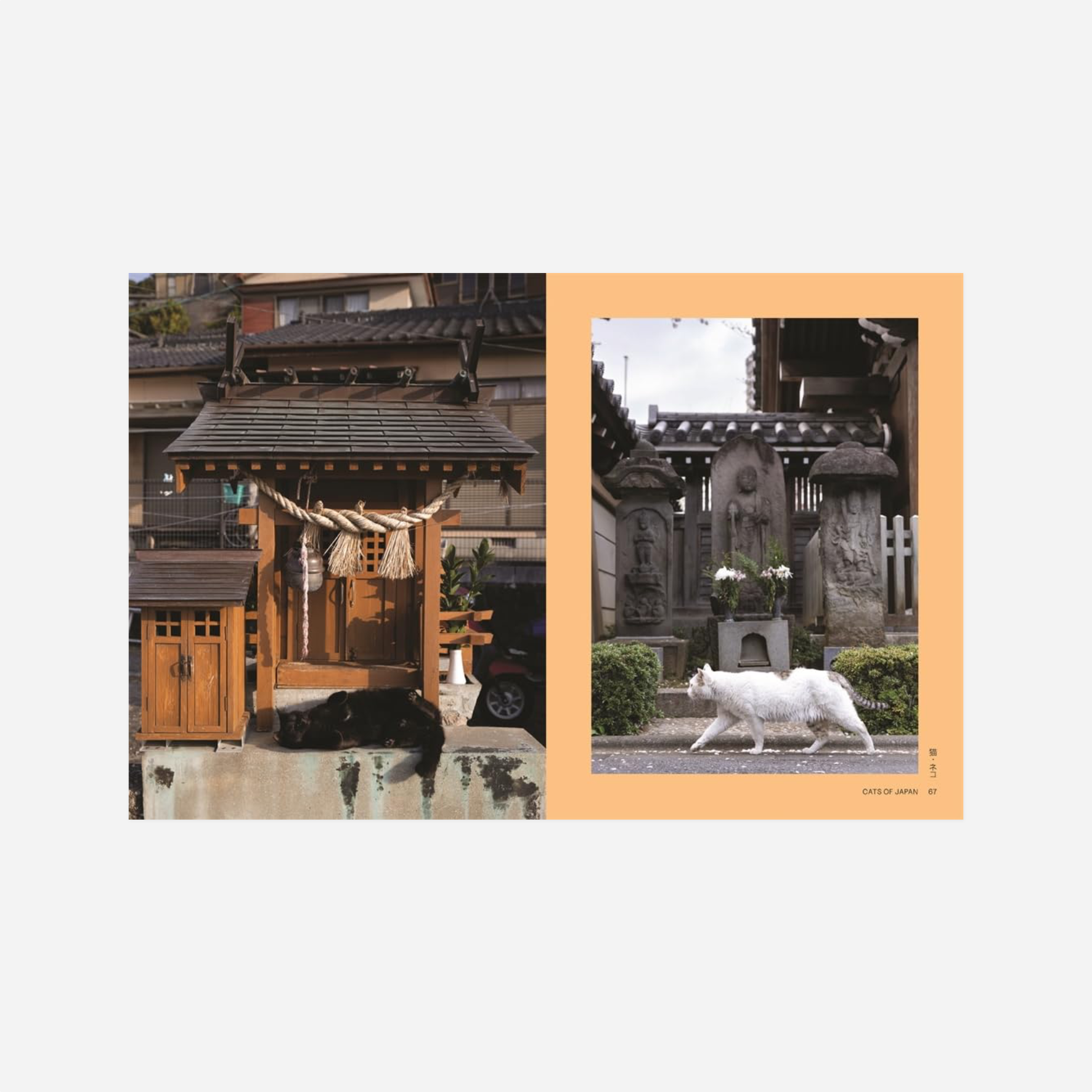 Knyga. Neko: Cats of Japan