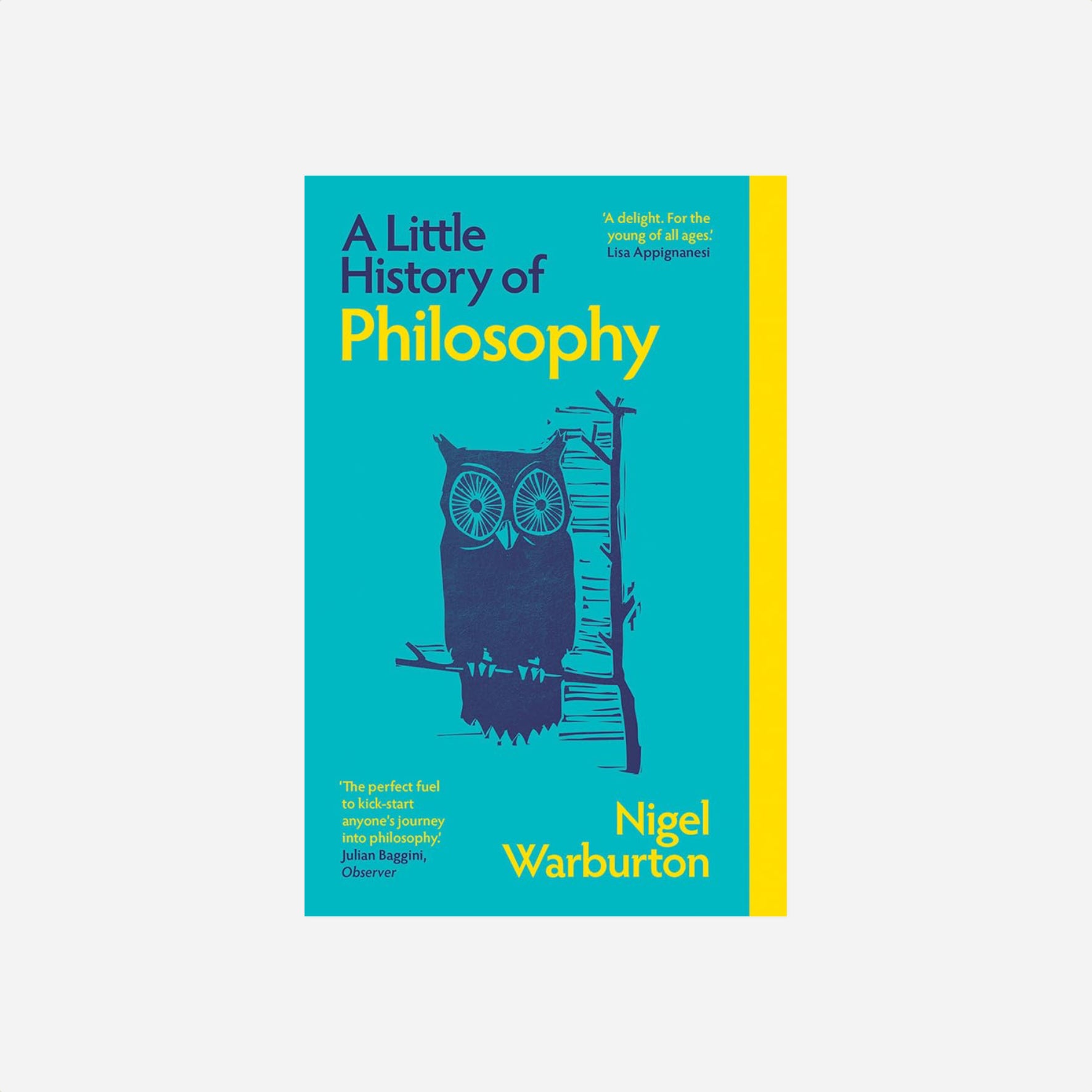 Knyga. A Little History of Philosophy