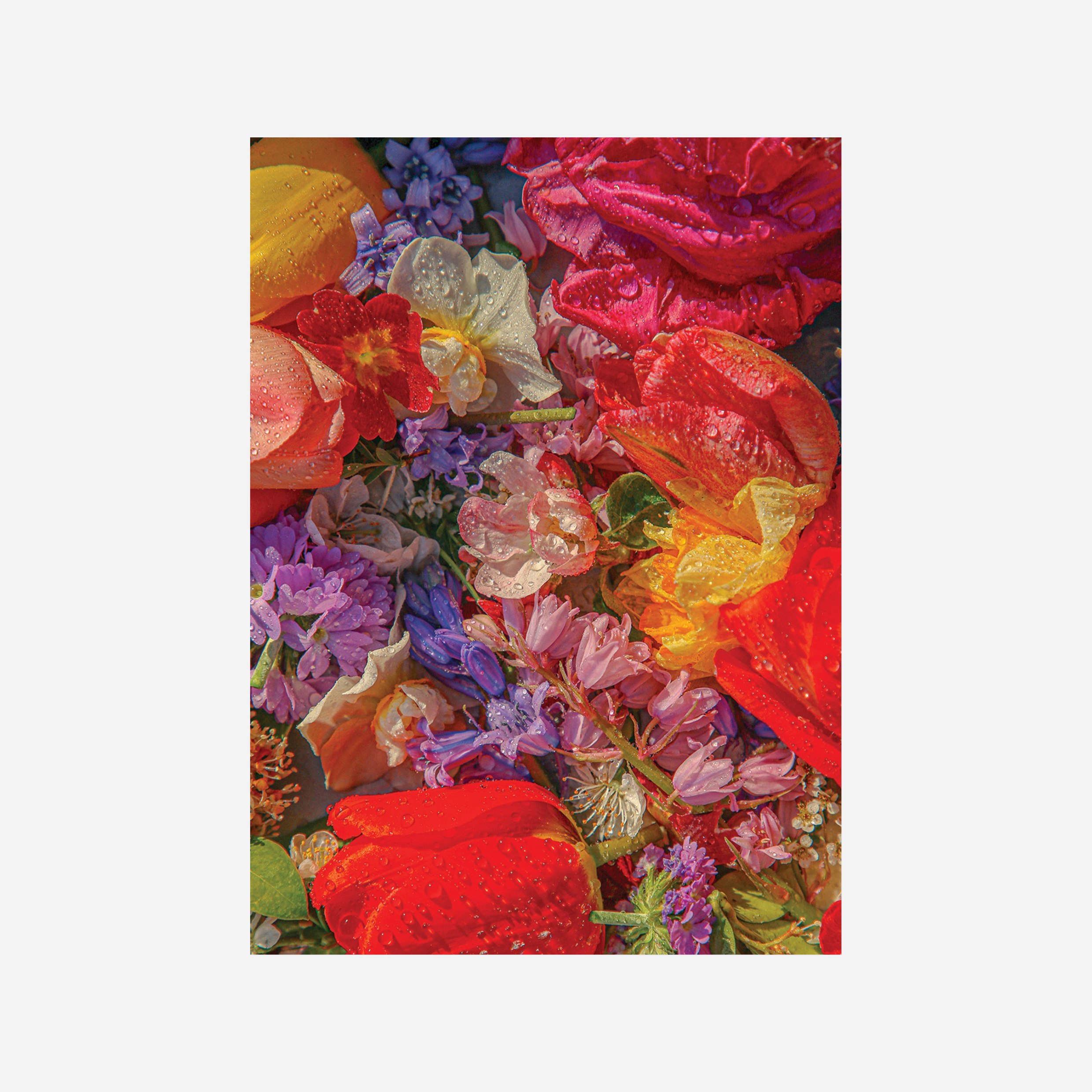 Dėlionė. Blossom