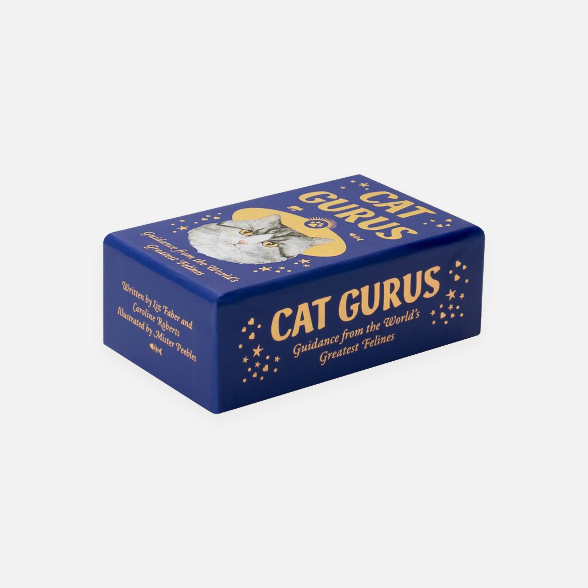 Kortelės. Cat Gurus (Mini Deck)