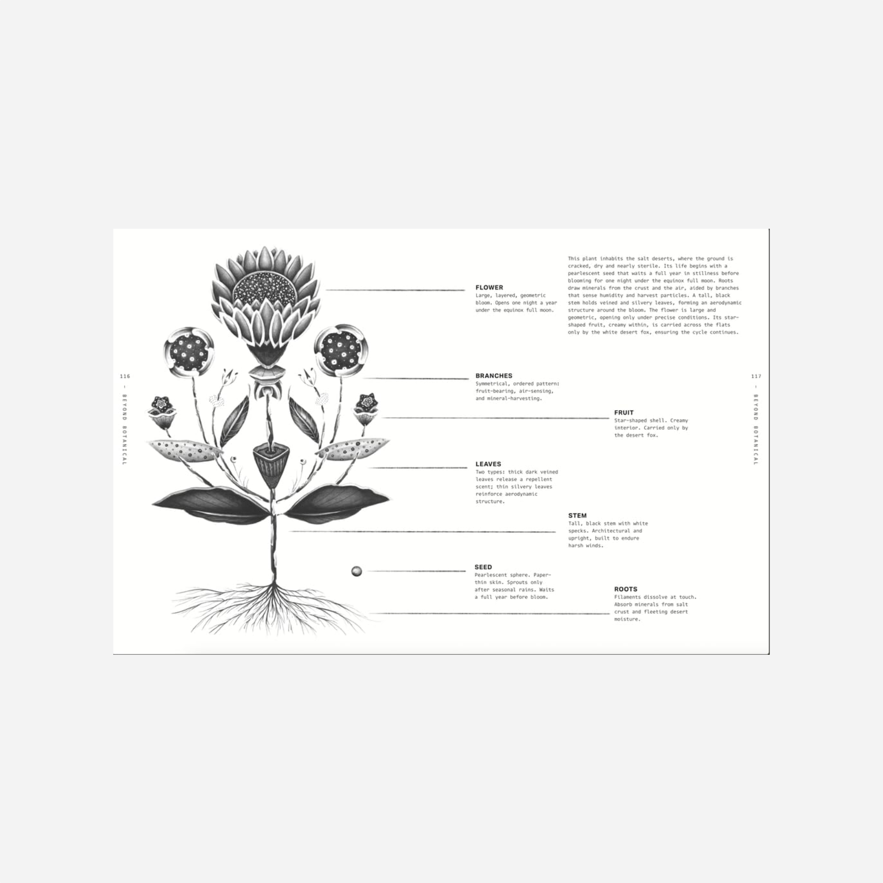 Knyga. Beyond Botanical