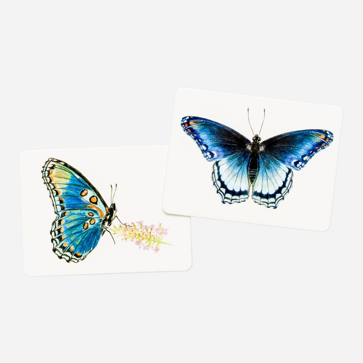 Kortelės. Butterfly Wings