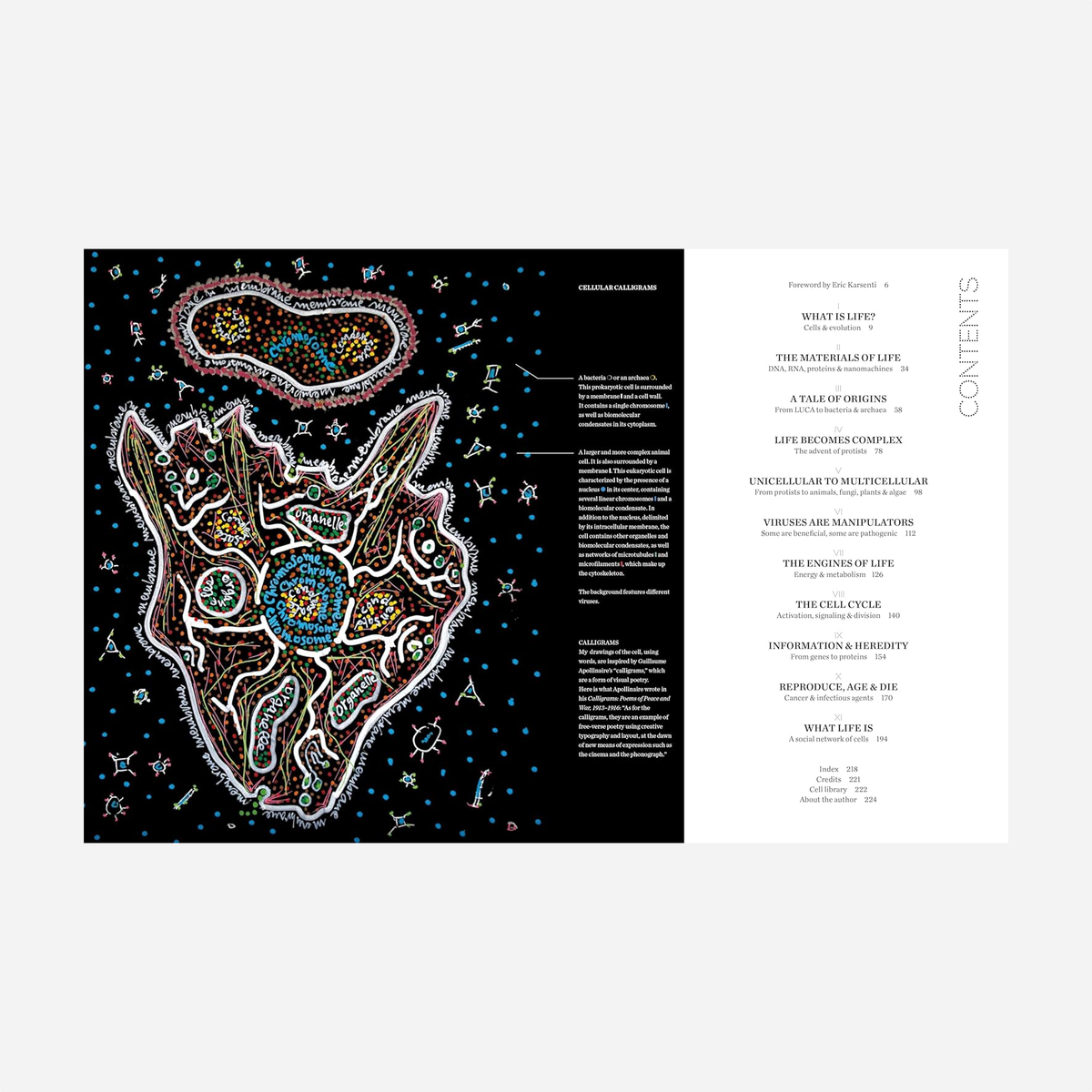 Knyga. Cells: The Illustrated Story of Life