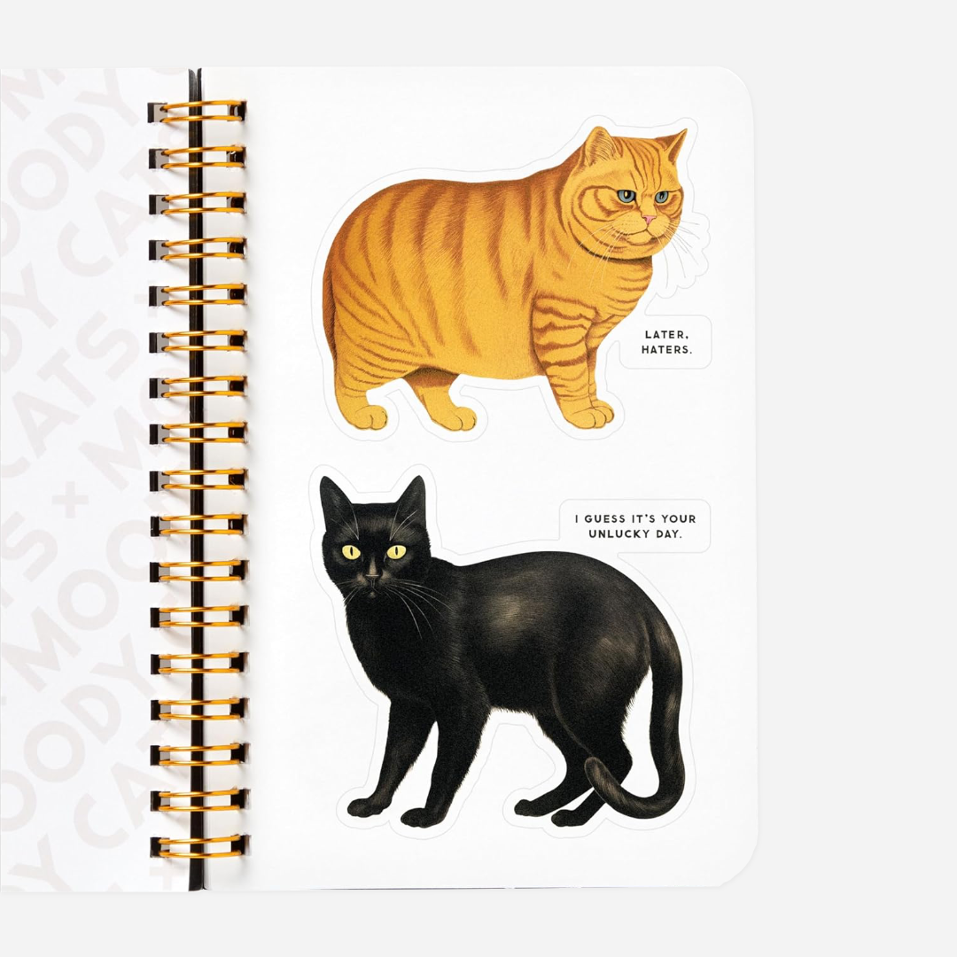 Knyga. Moody Cats Sticker Book