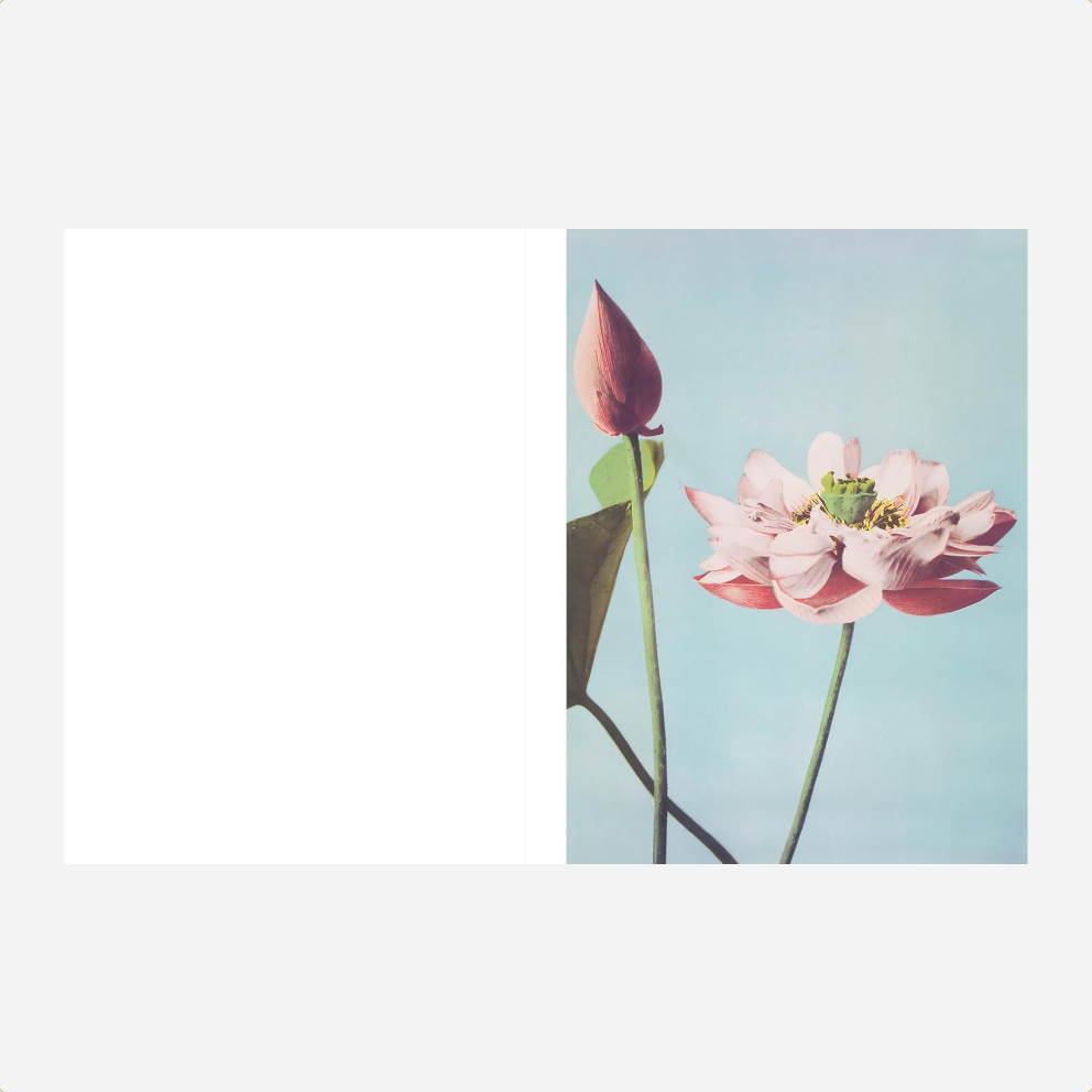 Knyga. Creative Paper