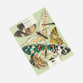 Spalvinimo akvarele knyga. Butterflies Artists' Colouring Book