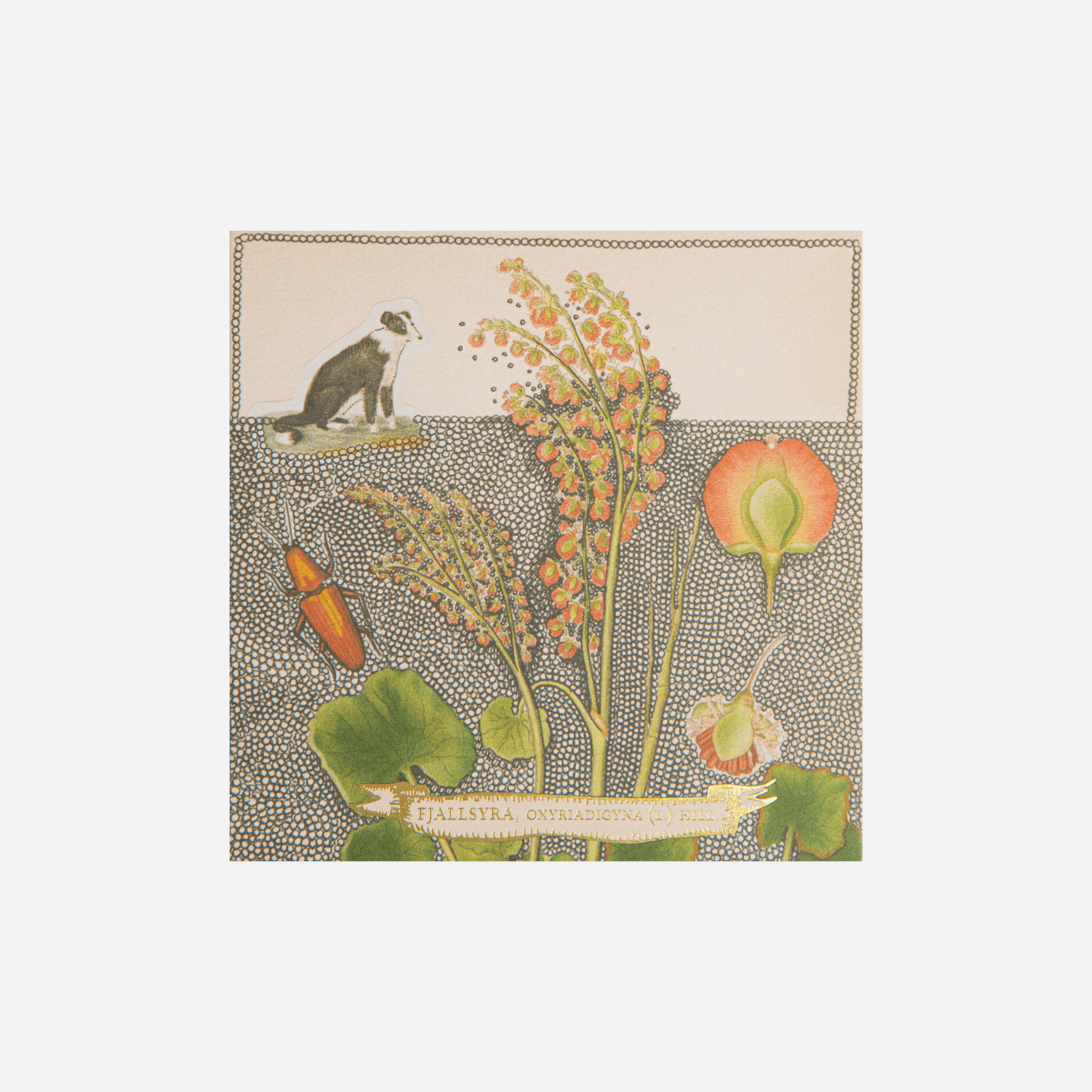 Degtukai. Archivist [Chien Botanical]
