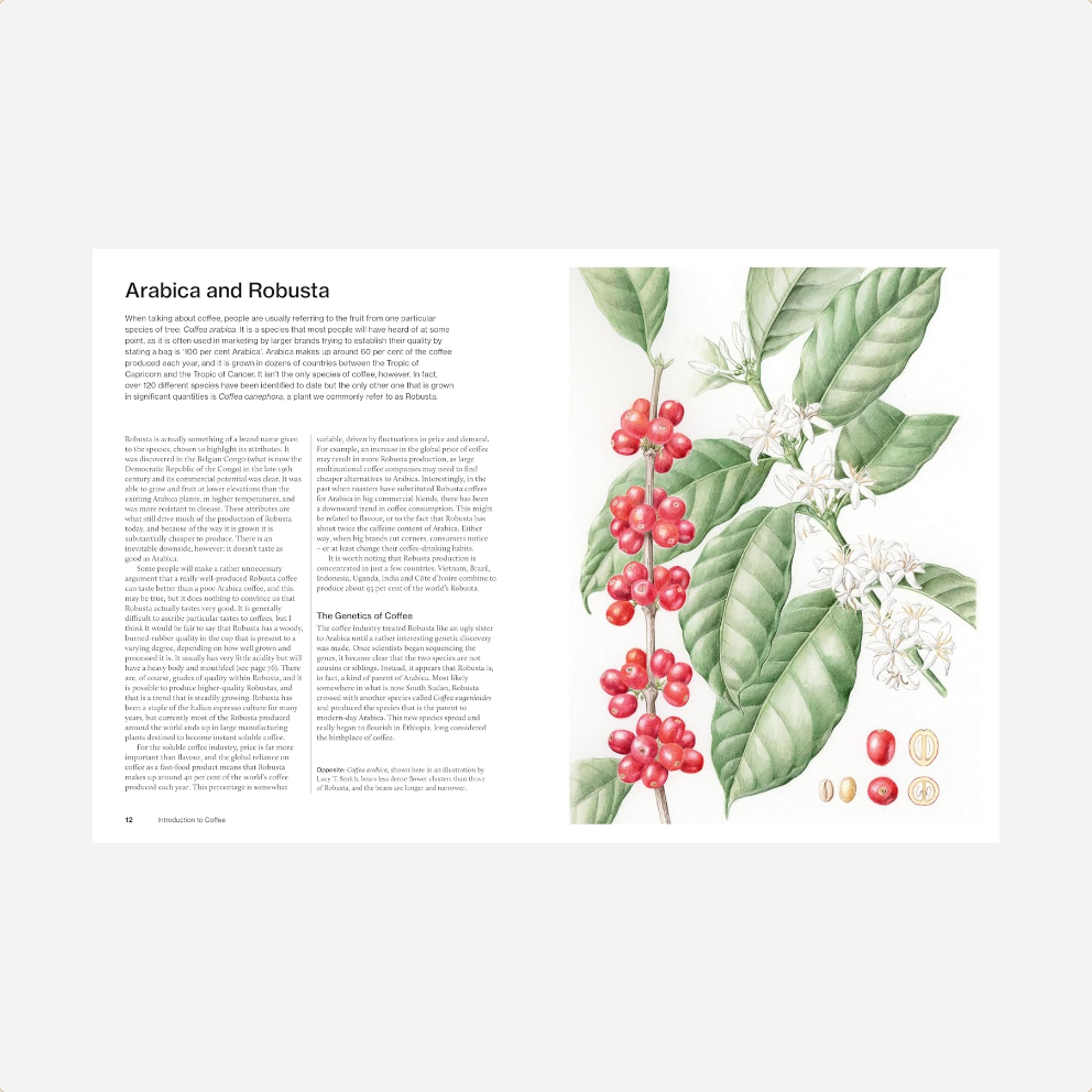 Knyga. The World Atlas of Coffee [3rd Edition]