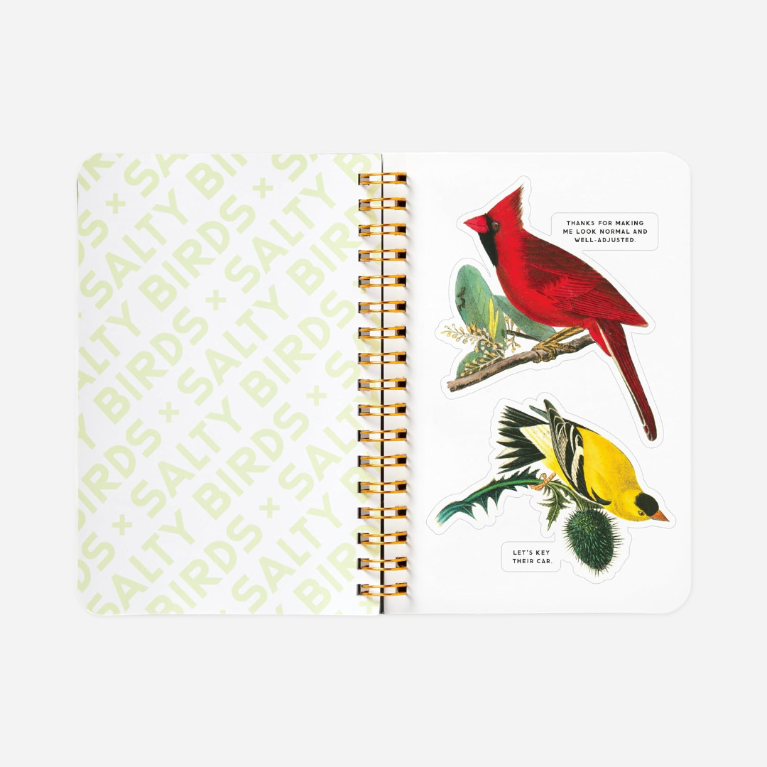 Knyga. Salty Birds Sticker Book