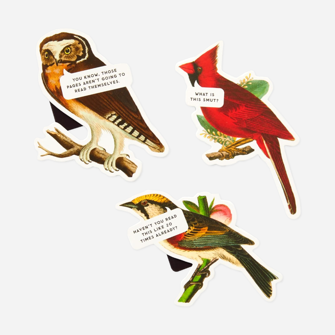 Skirtukų rinkinys. Salty Birds Magnetic Bookmark Set