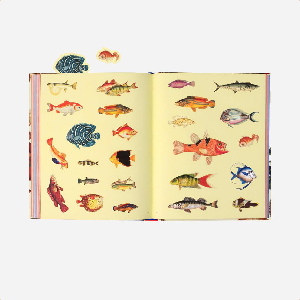 Knyga. Extraordinary Things Sticker Book