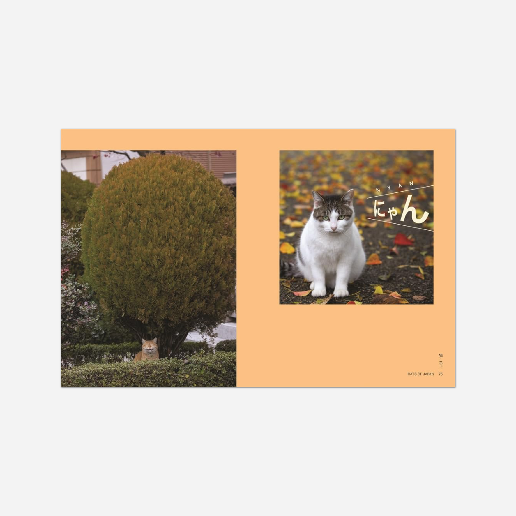 Knyga. Neko: Cats of Japan