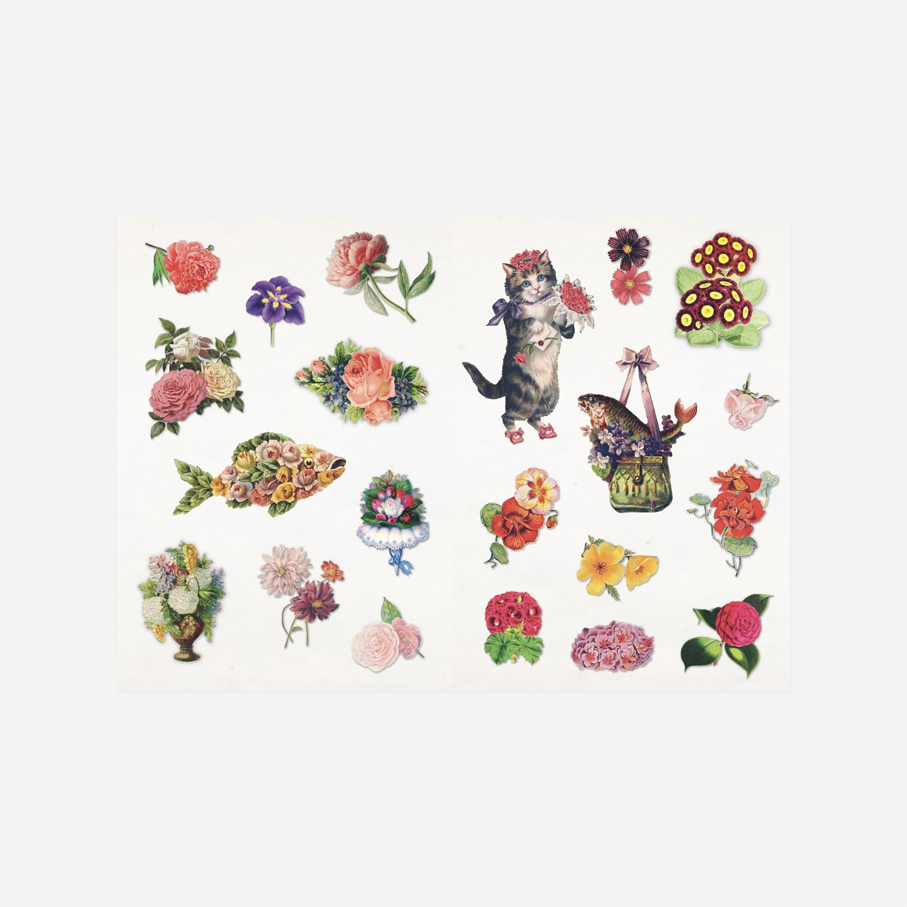 Knyga. The Curious Collections Sticker Book