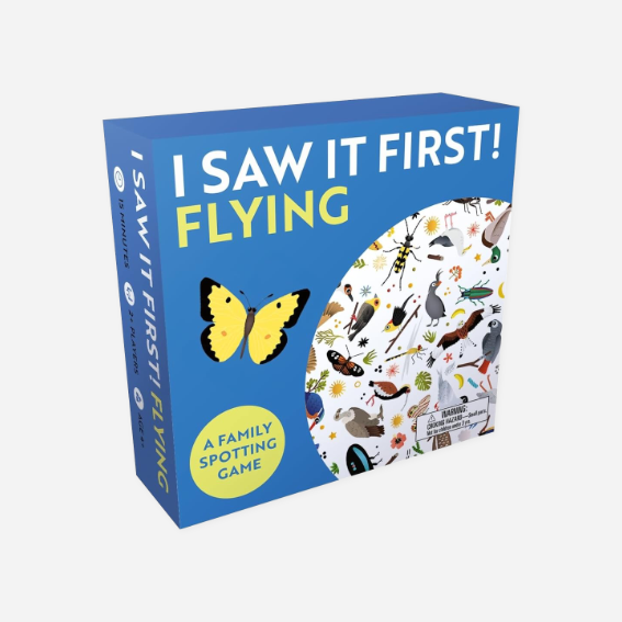 Žaidimas. I Saw It First: Flying [Travel Edition]