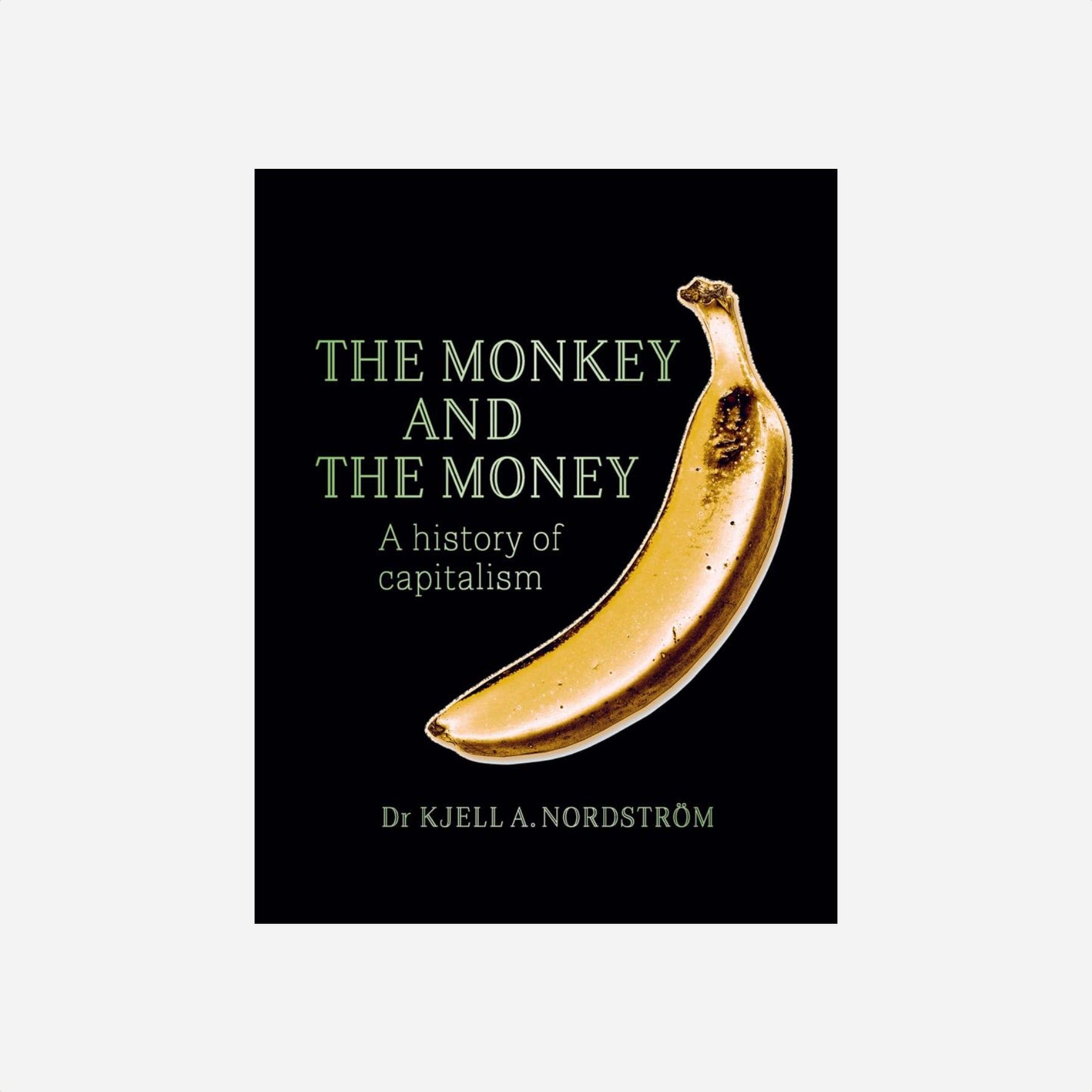Knyga. Monkey And The Money
