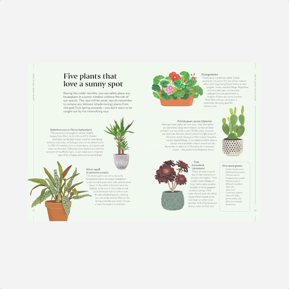 Knyga. How to Make Your Houseplants Love You