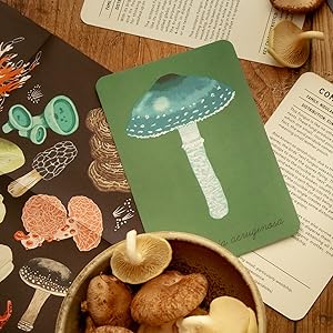 Kortelės. The Mushroom Compendium