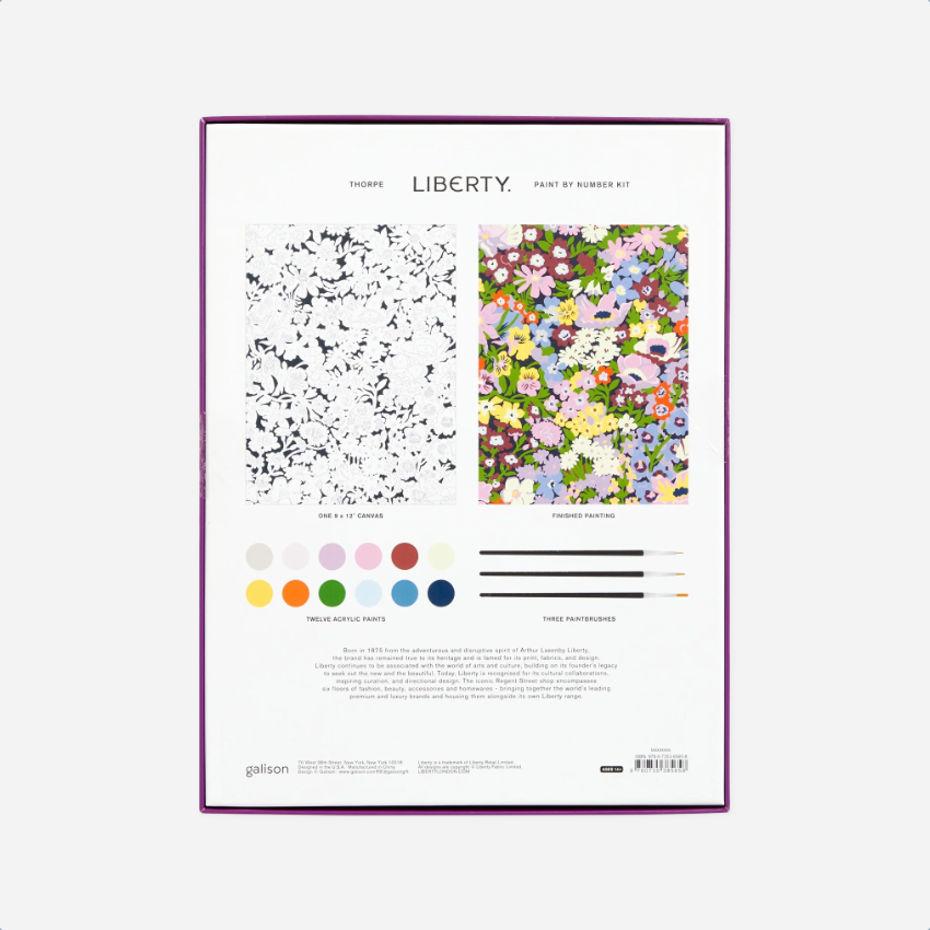 Piešimo rinkinys. Liberty Paint by Number [Thorpe]