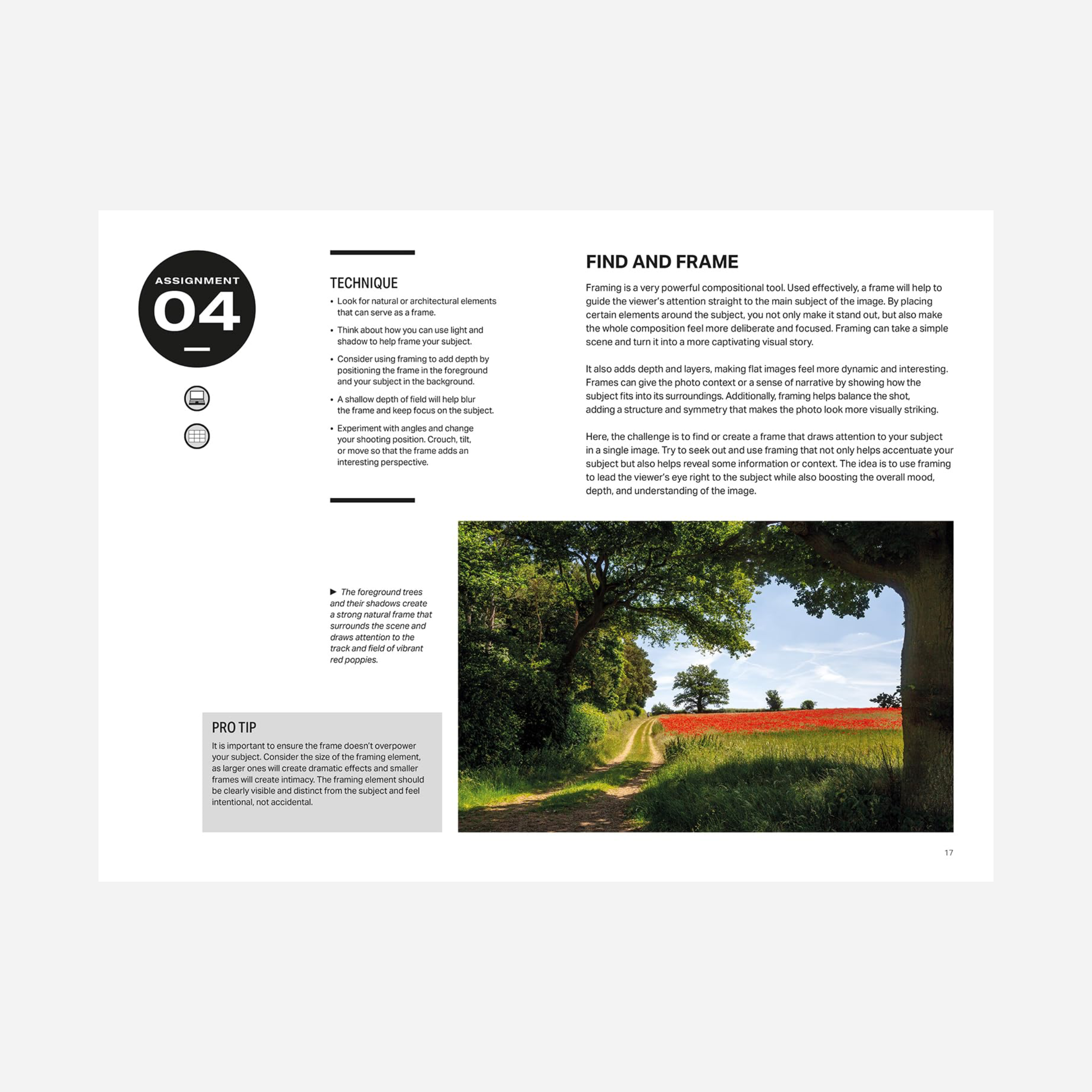 Knyga. Assignments: Composition